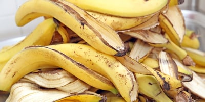 12 Utilisations Surprenantes des Peaux de Banane