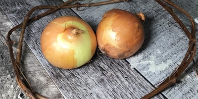 12 Astuces Culinaires Autour de L’oignon
