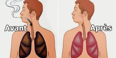 3 Aliments Magiques qui Peuvent Nettoyer les Poumons des Fumeurs !