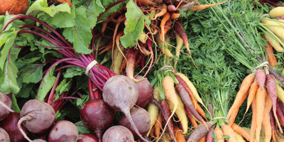 3 Astuces pour Bien Manger Sans Gaspiller 3 Astuces pour Bien Manger Sans Gaspiller