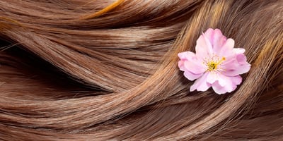 4 Recettes de Shampoing 100% Naturels !