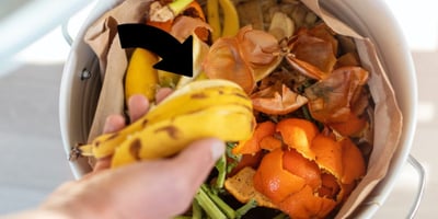 4 Utilisations très Malignes des Épluchures au Potager 4 Utilisations très Malignes des Épluchures au Potager