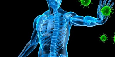 5 Trucs pour Renforcer son Système Immunitaire 5 Trucs pour Renforcer son Système Immunitaire