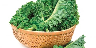 5 Aliments qui Boostent votre Énergie