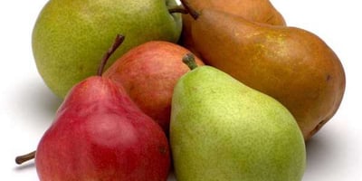 5 Aliments Santé pour Passer L’automne en Forme