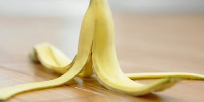 6 Raisons de ne plus Jeter la Pelure de votre Banane...