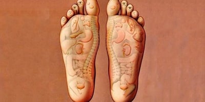7 Techniques Faciles de Réflexologie