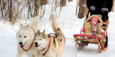 7 Activités Hivernales que votre Famille va Adorer 7 Activités Hivernales que votre Famille va Adorer