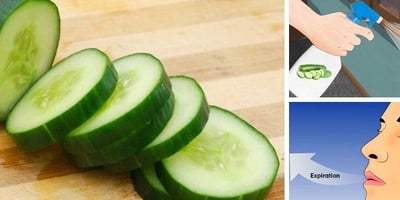 7 Bienfaits du Concombre