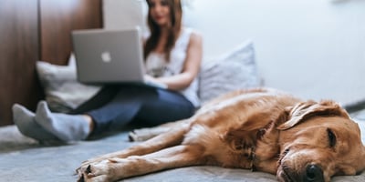 7 Côtés Positifs à Être «coincé» en Quarantaine 7 Côtés Positifs à Être «coincé» en Quarantaine