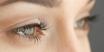 8 Aliments pour des Yeux en Bonne Santé
