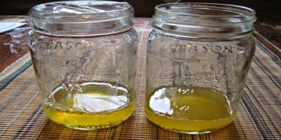 8 Astuces pour vous Débarrasser des Mouches dans Votre Maison 8 Astuces pour vous Débarrasser des Mouches dans Votre Maison