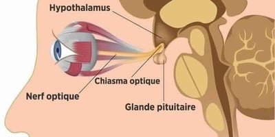 8 Astuces Simples pour Améliorer Votre Vue Sans Lunettes ni Chirurgie Laser !