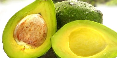 8 Étapes Faciles pour faire Pousser un Avocat à la Maison
