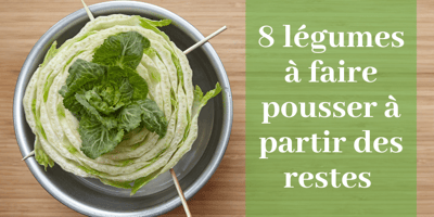 8 LÉGUMES À FAIRE POUSSER À PARTIR DES RESTES 8 LÉGUMES À FAIRE POUSSER À PARTIR DES RESTES
