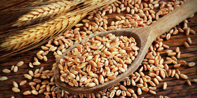 8 Signes qui Indiquent que vous Faites une Intolérance au Gluten 8 Signes qui Indiquent que vous Faites une Intolérance au Gluten