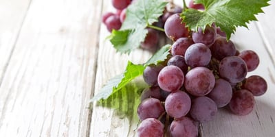 9 Façons de Ralentir le Vieillissement Grâce à vos Choix Alimentaires