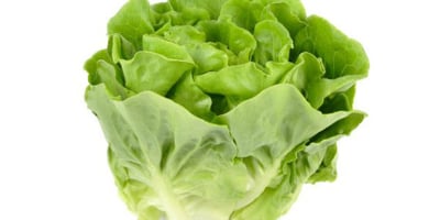 Astuces pour Garder une Salade Longtemps