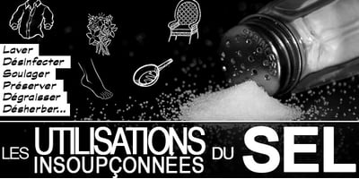 Les Utilisations Insoupçonnées du Sel que vous DEVEZ connaître