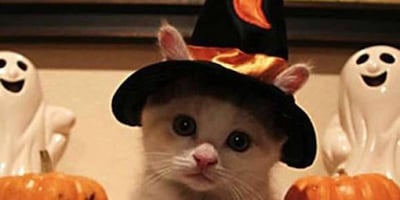 Règles de Prévention pour l'Halloween