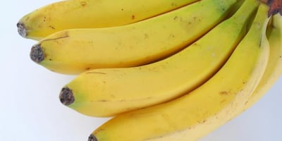 A La Découverte de la Banane