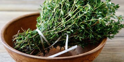Immunité Les Aliments Dopants de L'automne Immunité Les Aliments Dopants de L'automne