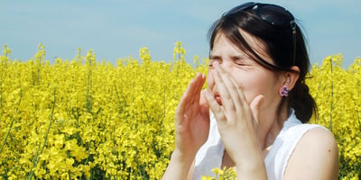 Allergie : Tout savoir sur le rhume des foins