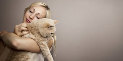 Comment Protéger la Santé de mon Animal ?