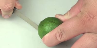 Anti-moustiques