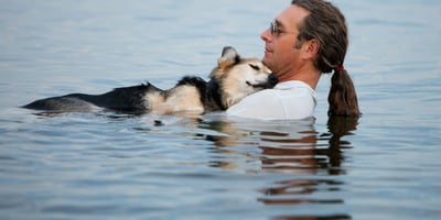 Apprendre à se Baigner avec son Chien Apprendre à se Baigner avec son Chien