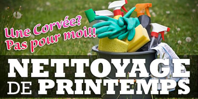 Quelques Trucs pour égayer votre Nettoyage de Printemps!