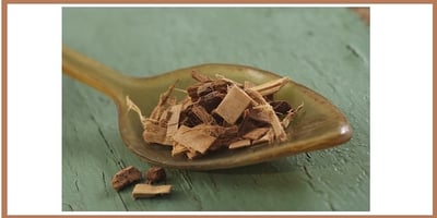 Cholestérol : Cures d’aubier de Tilleul