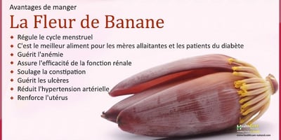Avantages pour la Santé de Manger la Fleur de Banane