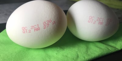 Bien choisir des Oeufs Bien choisir des Oeufs