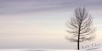 Trucs et Astuces. Bien-être en hiver ! Trucs et Astuces. Bien-être en hiver !