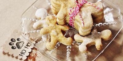 Biscuits au Pain D'épice pour Chiens Biscuits au Pain D'épice pour Chiens