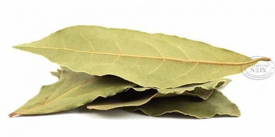 Feuille de Laurier : Brûlez-la pour Éliminer la Fatigue et les Tensions Feuille de Laurier : Brûlez-la pour Éliminer la Fatigue et les Tensions