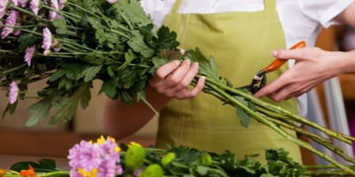 Ce Que vous Devez Faire Pour Conserver la Fraîcheur des Fleurs Coupées Ce Que vous Devez Faire Pour Conserver la Fraîcheur des Fleurs Coupées