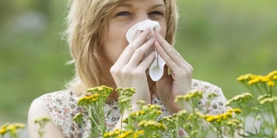 Combattre les Allergies avec ces 4 Remèdes Maison