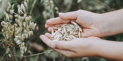 Comment Calmer les Rhumatismes ?