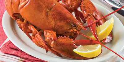 Comment Cuire le Homard Comment Cuire le Homard