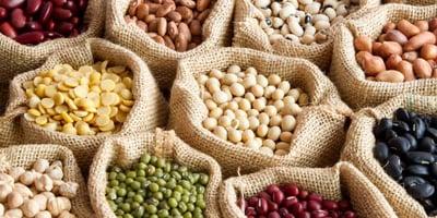 Comment Cuisiner les Legumineuses