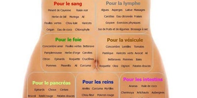 Comment Détoxifier Chaque Organe Pour ne Plus Jamais Être Malade ou Fatigué