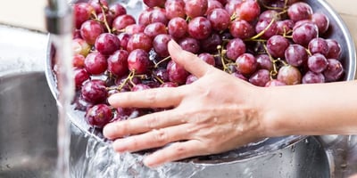 Comment Enlever les Pesticides de vos Fruits et Légumes ? Comment Enlever les Pesticides de vos Fruits et Légumes ?