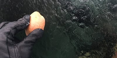 Trucs de Grand-Mère : Comment Éviter que vos Essuie-glaces Collent sur votre Pare-Brise