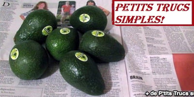 Comment Faire Mûrir un Avocat Rapidement ?