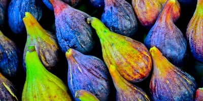 Comment Faire Sécher des Figues ? Comment Faire Sécher des Figues ?