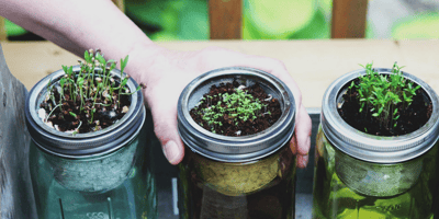 Comment Faire un Ingénieux (petit) Jardin Urbain en 5 Étapes Faciles