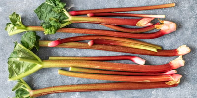 Comment Préparer la Rhubarbe ? Comment Préparer la Rhubarbe ?