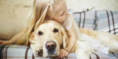 Comment Savoir la Race de mon Chien Comment Savoir la Race de mon Chien